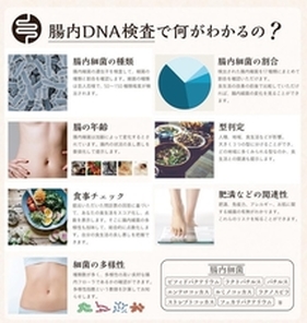腸年齢検査
