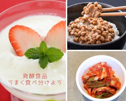 発酵食品