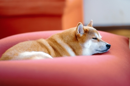 睡眠　休息