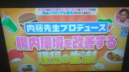 内藤先生プロデュース腸内環境を改善する理想の生活