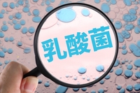 腸内細菌検査のお届け及び価格改定につきまして